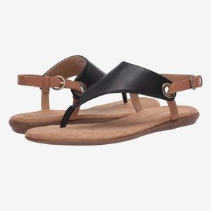 New in box! AEROSOLES In Conchlusion sandals, 5.5